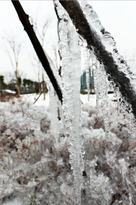 一場雪，體育中心美得不要不要的 但最美的風(fēng)景還是他們(圖4)