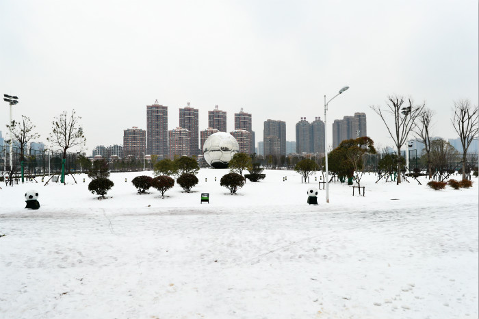 一場雪，體育中心美得不要不要的 但最美的風(fēng)景還是他們(圖2)