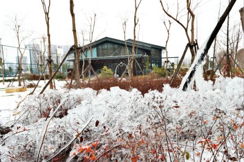 一場(chǎng)雪，體育中心美得不要不要的</br>但最美的風(fēng)景還是他們(圖2)